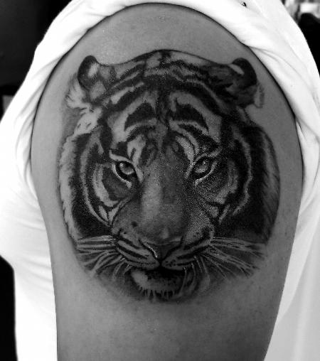Tattoos - Black and grey tiger - 131554
