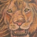Tattoos - King of the jungle - 3933
