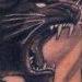 Tattoos - Detail of Frank Frazetta Sleeve - 58681