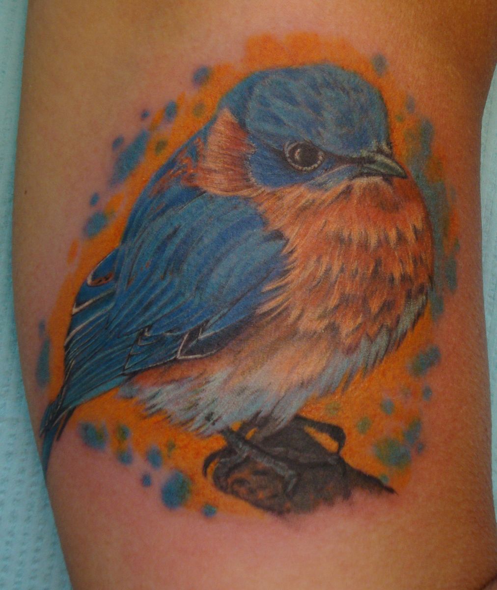 Eastern Bluebird Tattoo by Larry Brogan