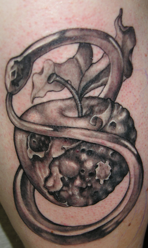 Tattoos - yin yang rotten apple - 26305