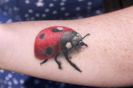 Tattoos - Color Ladybug Tattoo - 60514