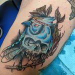Tattoos - bird skull tattoo - 133086