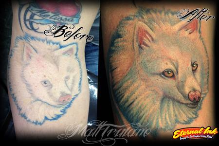Tattoos - american eskimo - 63483