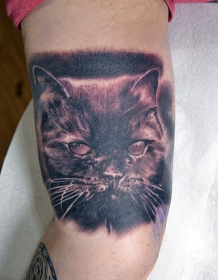 Alan Aldred - Cat Pet Portrait
