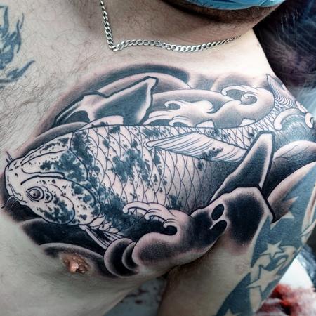 Alan Aldred - Work In Progress Koi Cover Up