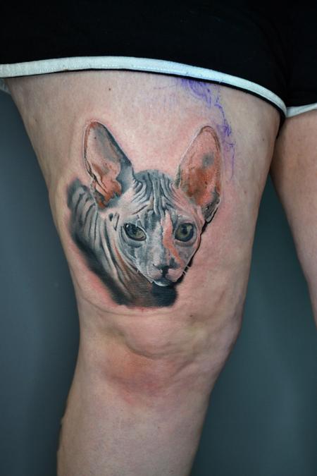 Tattoos - Sphynx Cat Portrait  - 141049
