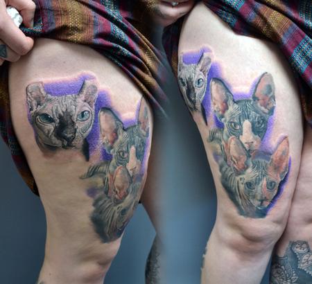 Tattoos - Sphynx Cat Portrait  - 142121