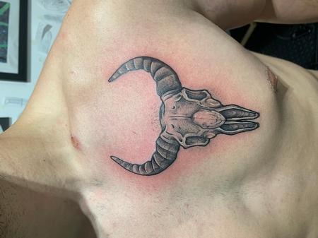 Tattoos - Bovine skull - 144311