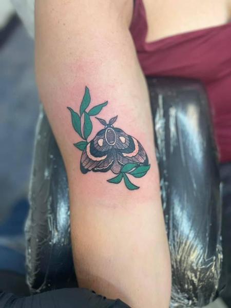 Tattoos - Moth - 143485