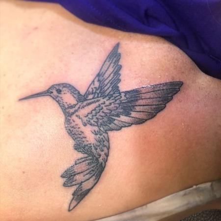 Chris Christain (PORTLAND) - Humming bird