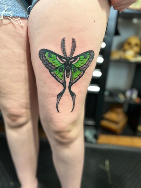 Tattoos - Luna moth - 144218