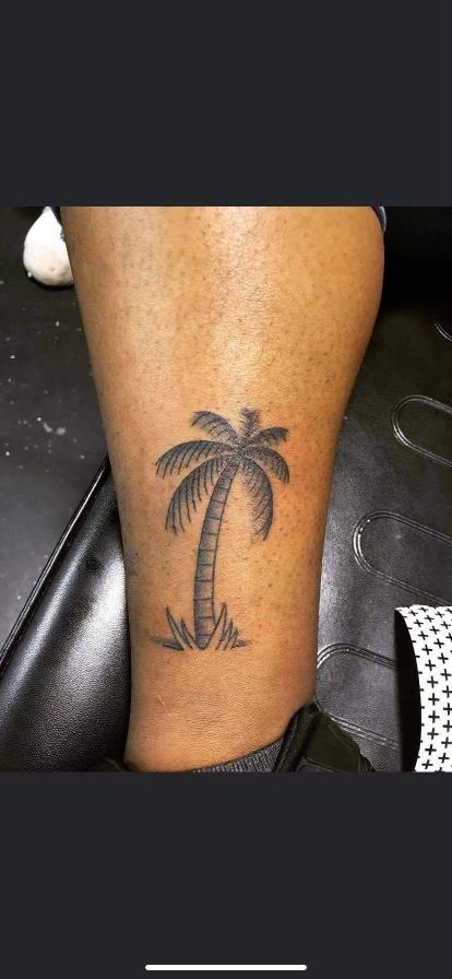 Courtney Morrison (MADISON) - Palm tree