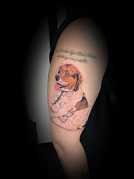 Tattoos - Beagle hound color portrait  - 140124