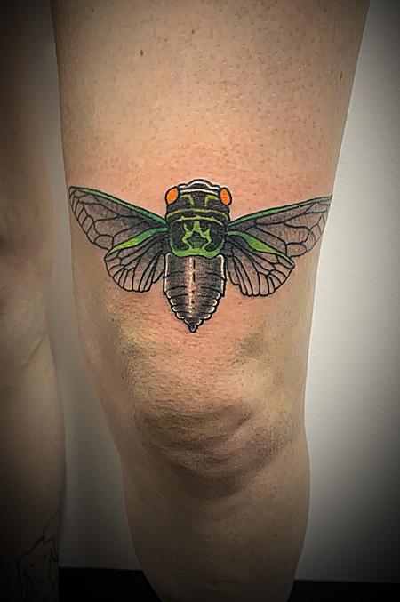 Tattoos - Cicada  - 139376
