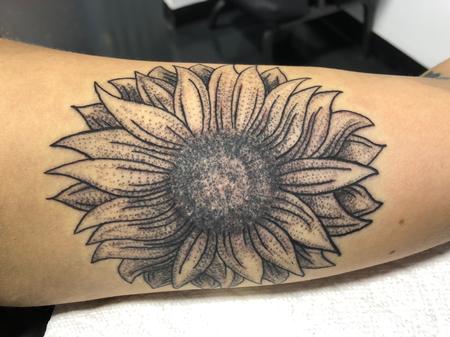 Tattoos - Stipple sunflower  - 134523