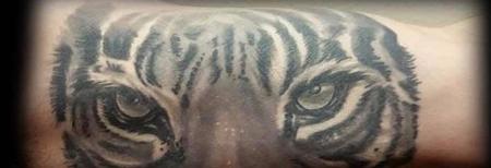 Tattoos - Tigers Eyes, HEALED - 140956