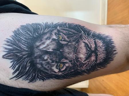 Tattoos - Scarred lion - 142299