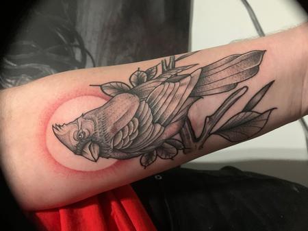 Tattoos - Cardinal - 144143