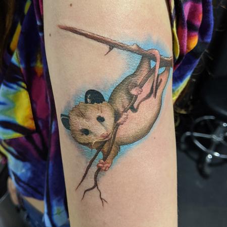 Tattoos - Possum - 142078