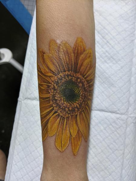 Jeff Hamm - Sunflower