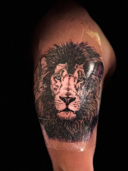 Tattoos - LION - 133767
