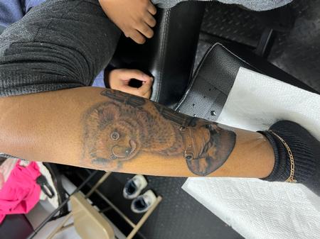 Tattoos - Koala - 146144