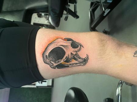 Tattoos - Cat skull - 145960