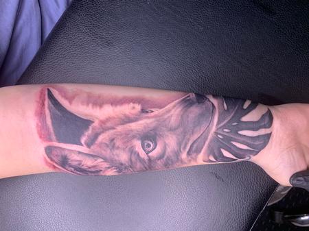 Tattoos - Fox - 146531