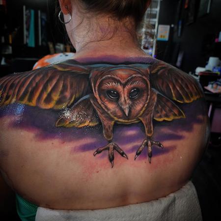 Drew Siciliano - Owl