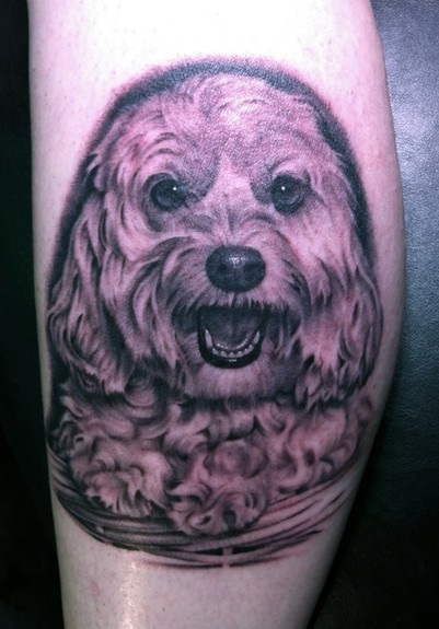 Tattoos - Dog in basket - 51574