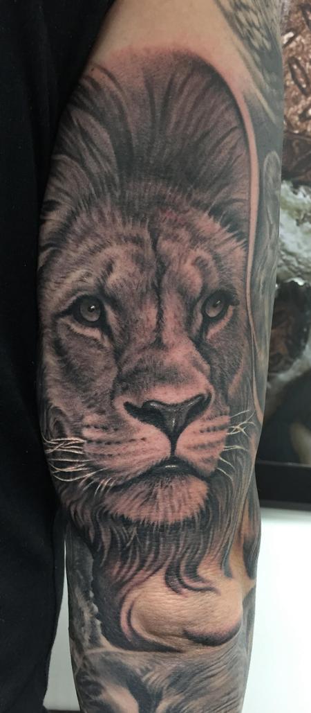 Tattoos - Lion Portrait Tattoo - 115682