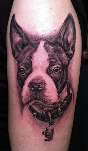 Tattoos - Boston Terrier - 51592