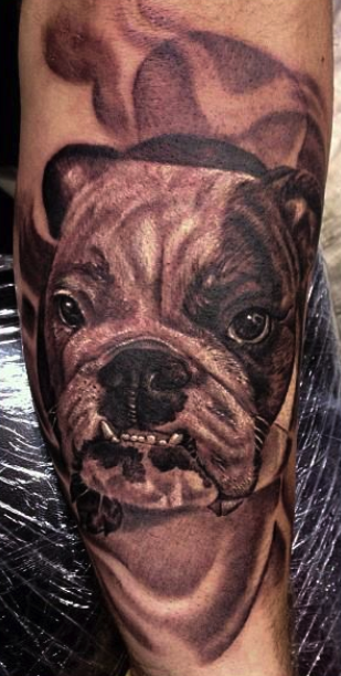 Tattoos - Bulldog portrait - 77968