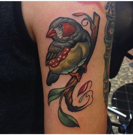 Tattoos - Zebra Finch  - 95502