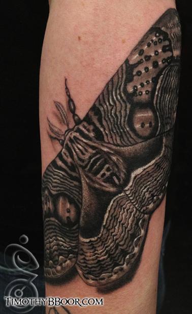 Tattoos - MOTHRA! - 69108