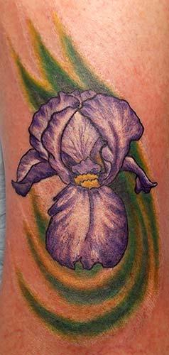 Tattoos - Purple_Bearded_Iris_Tattoo - 73226