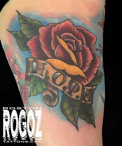 Boston Rogoz - Hope rose