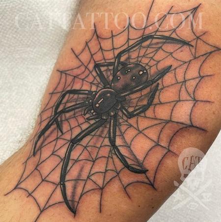 Tattoos - Spider and Web - 143016