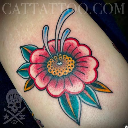 Mark C. Merchant - Squirt Flower