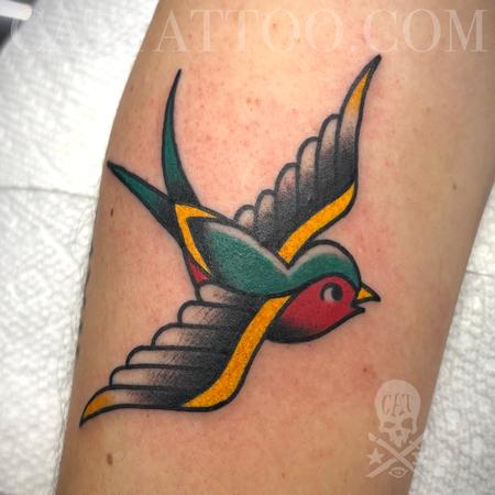 Patrick Bradley - Swallow