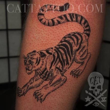Jose Silva - Tiger