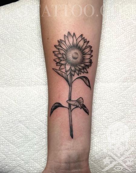 Justin Chui - Sunflower