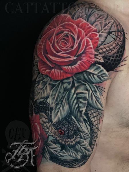 Terry Mayo - Snake and Roses Half Sleeve Front Image