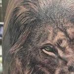 Lion rework  Tattoo Thumbnail