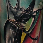 Beetle Tattoo Thumbnail