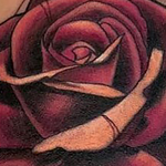 Rose Tattoo Thumbnail