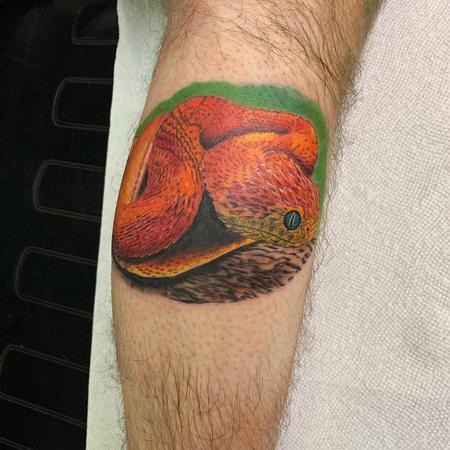 Tattoos - Snake - 142741