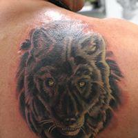 Tattoos - Realistic Wolf - 130925