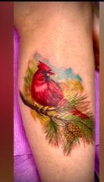 Tattoos - cardinal - 144613